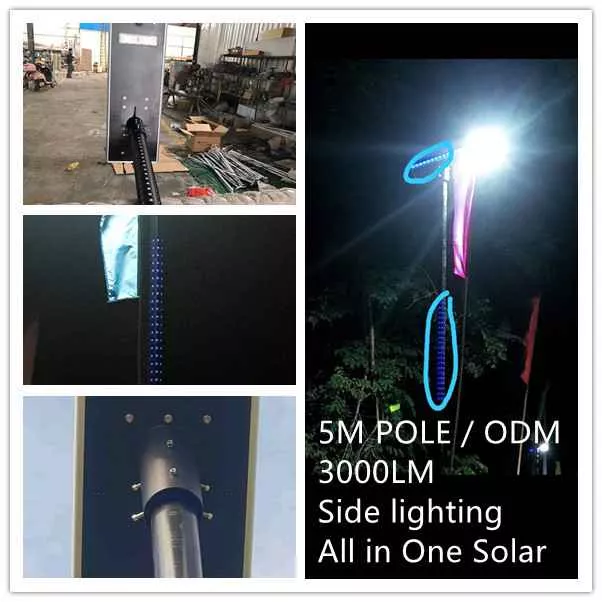 Customized Solar Decorative Pole Lights in Philippine